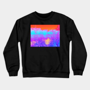 Summer pond Crewneck Sweatshirt